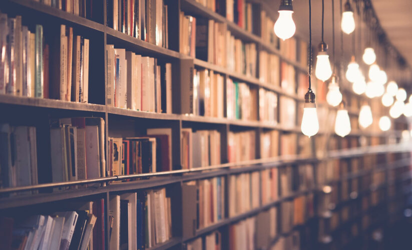 Studien zum Thema Eisen